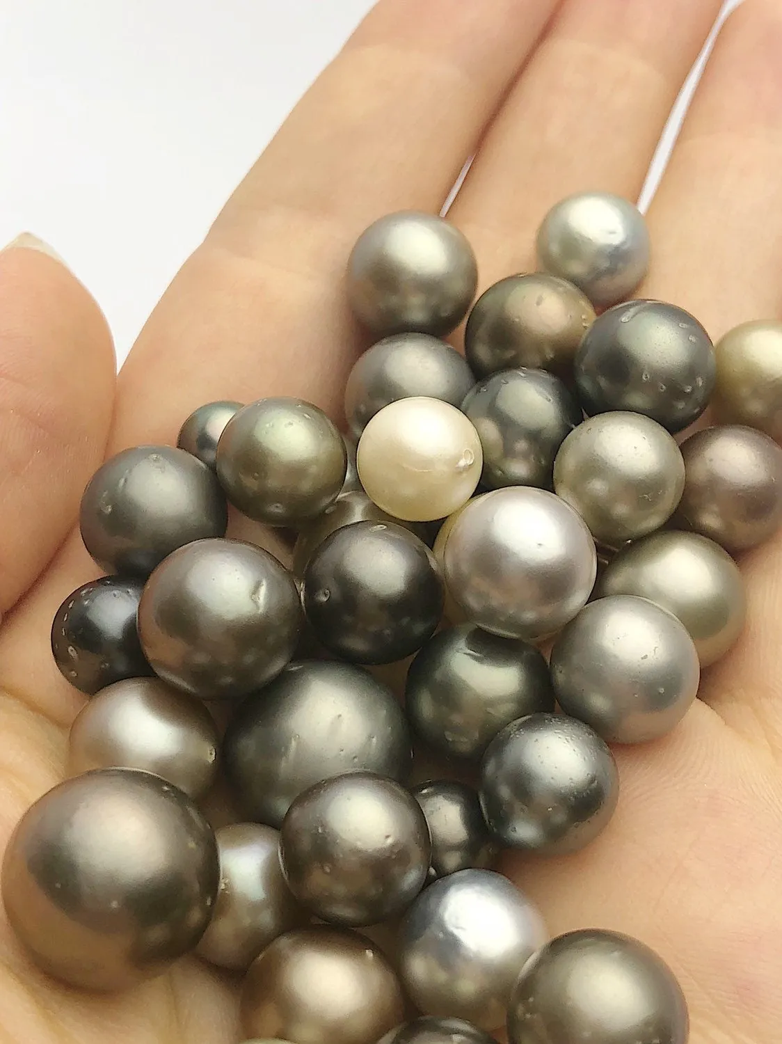 100 Tahitan Pearls, 11mm to7mm, Tahiti Loose Pearls, Round, 7mm - 11mm, A Quality