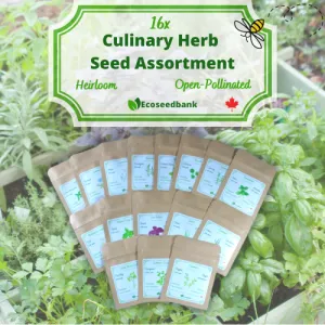 16x Culinary Herb Seed Assortment