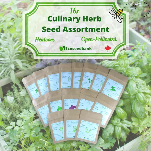 16x Culinary Herb Seed Assortment