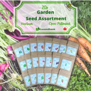 20x Garden Seed Assortment