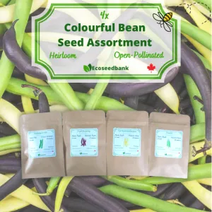 4x Colourful Bean Seed Assortment