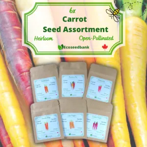 6x Carrot Seed Assortment