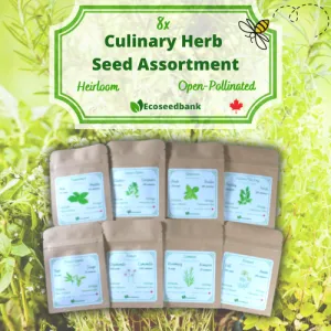 8x Culinary Herb Seed Assortment