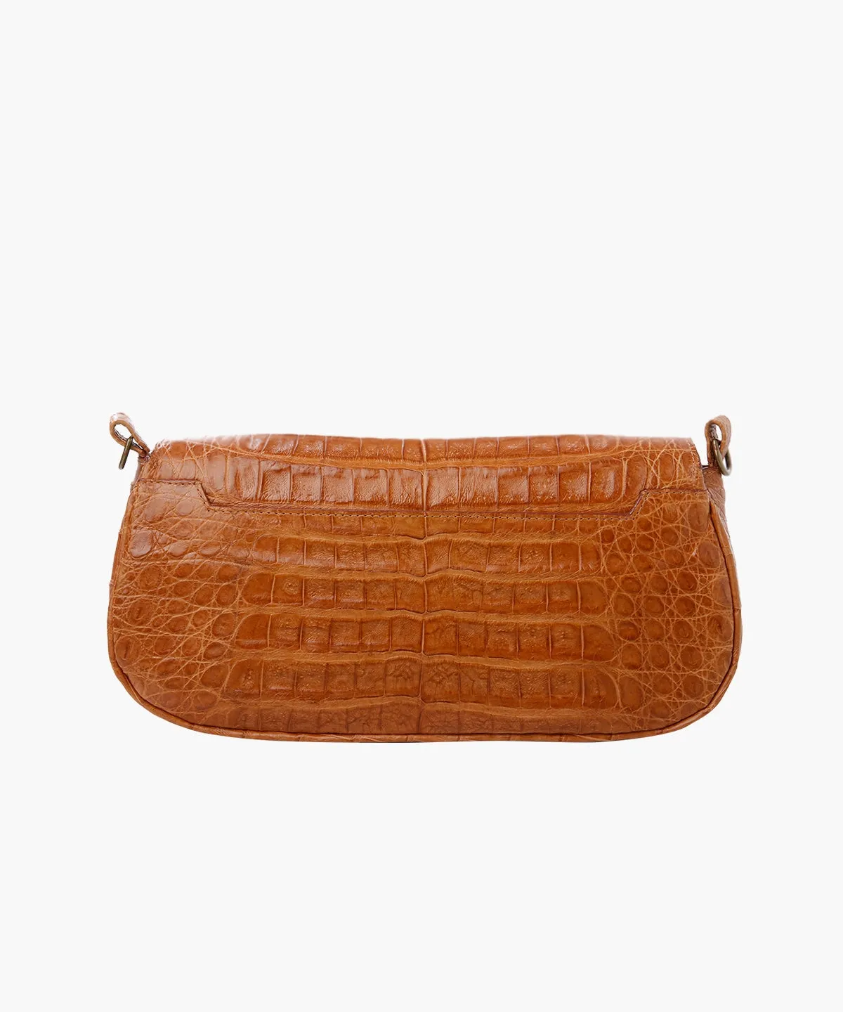 Alicia in Crocodile