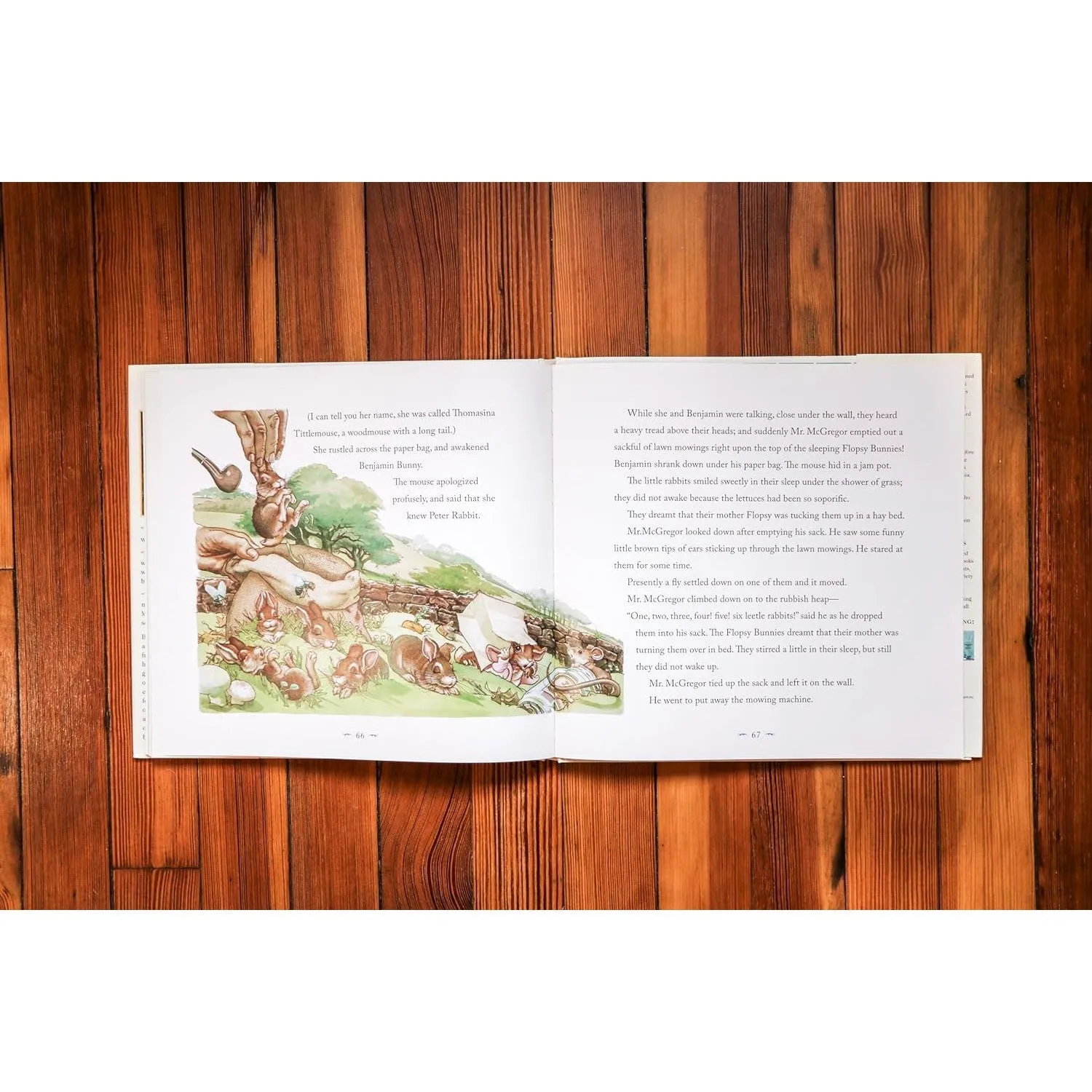 Applesauce Press: The Classic Tale of Peter Rabbit Hardcover: The Classic Edition