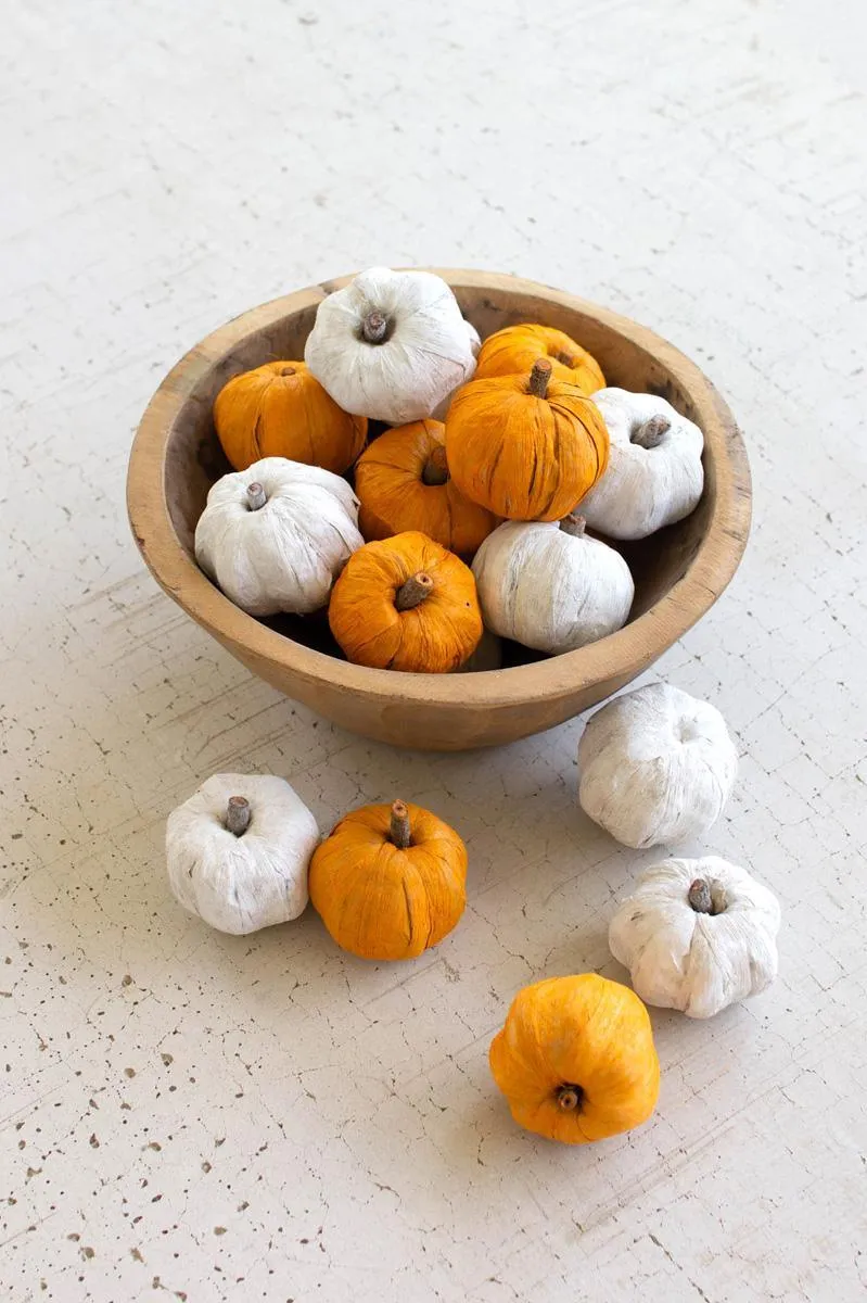 Bag of 15 Dried Miniature Faux Pumpkins / White (Pack of 12 bags)