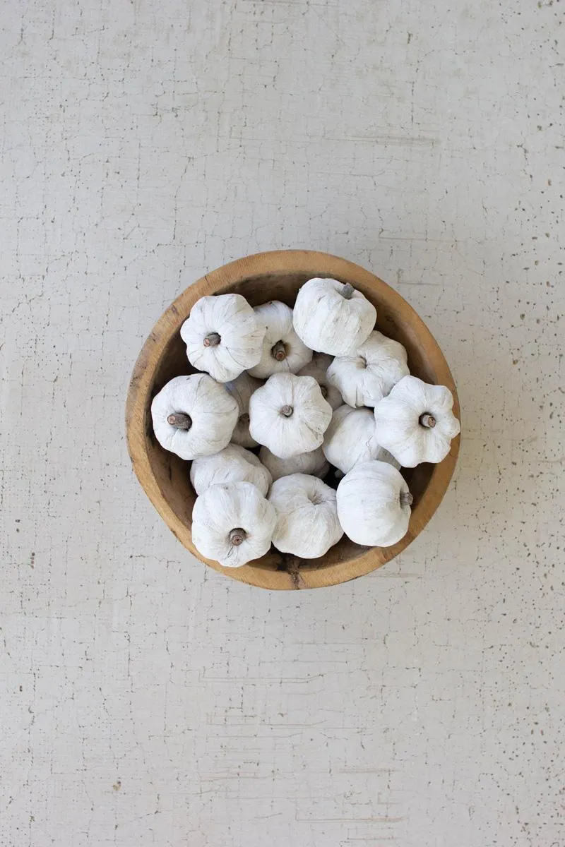 Bag of 15 Dried Miniature Faux Pumpkins / White (Pack of 12 bags)