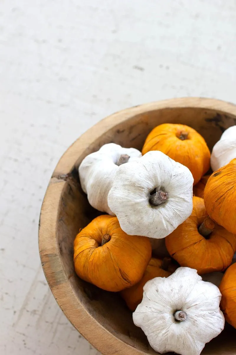 Bag of 15 Dried Miniature Faux Pumpkins / White (Pack of 12 bags)