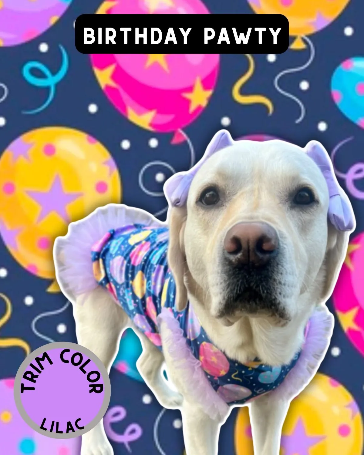 Balloon Birthday Pawty - Dog Pajama with Lavender Neck & Trim/Sleeves