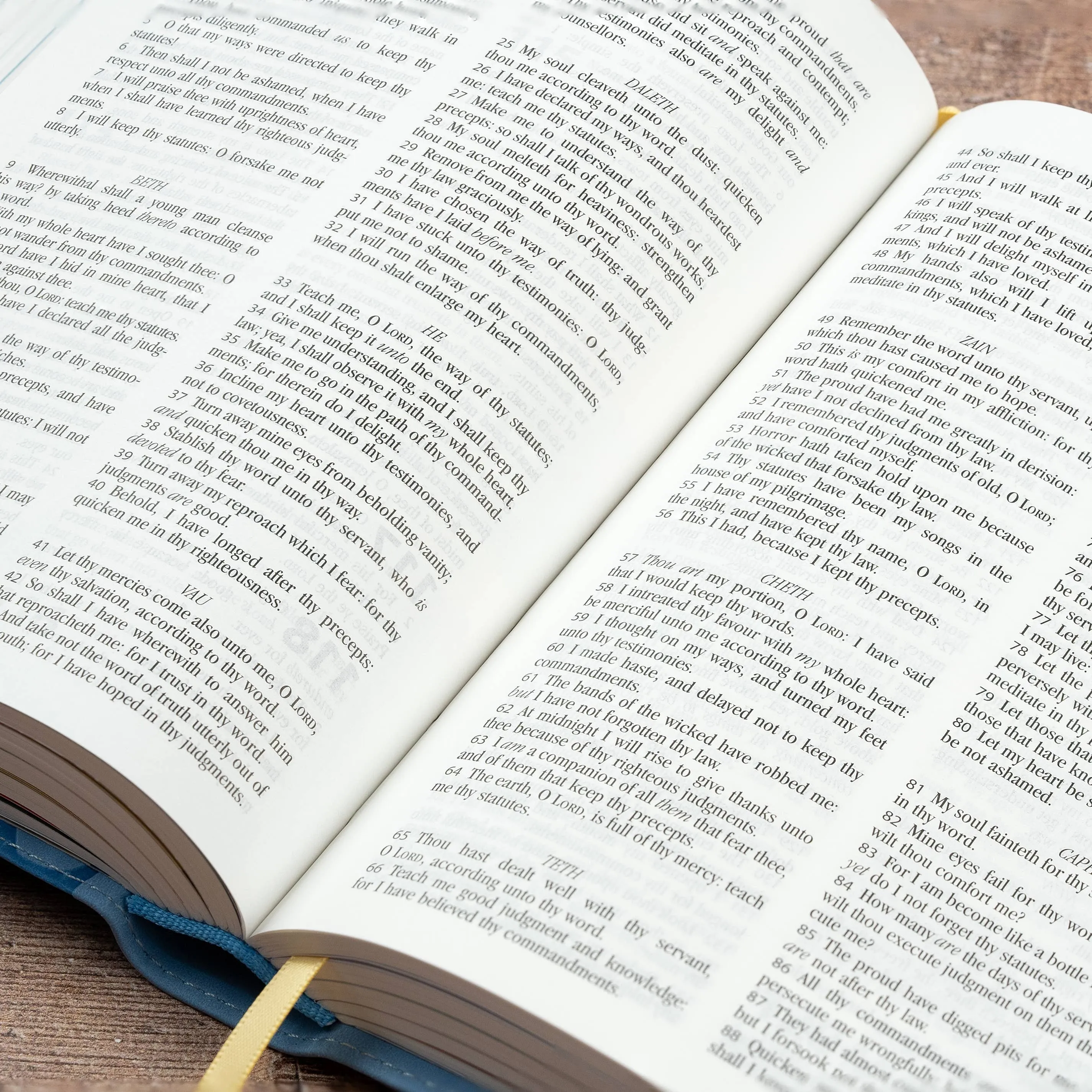 Boys My First Real Bible - King James Version
