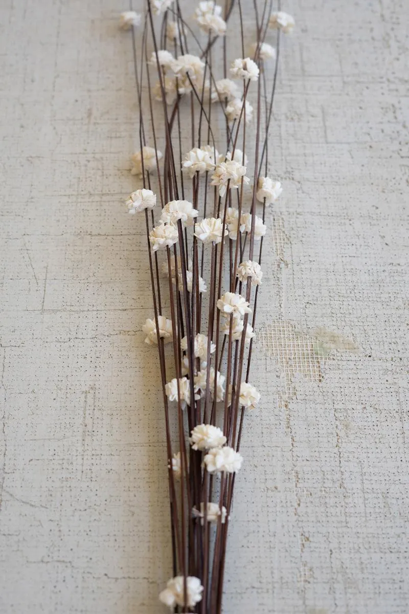 Bundle of 20 Sola Bells On Ting Ting Stems (Pack of 12 bags)