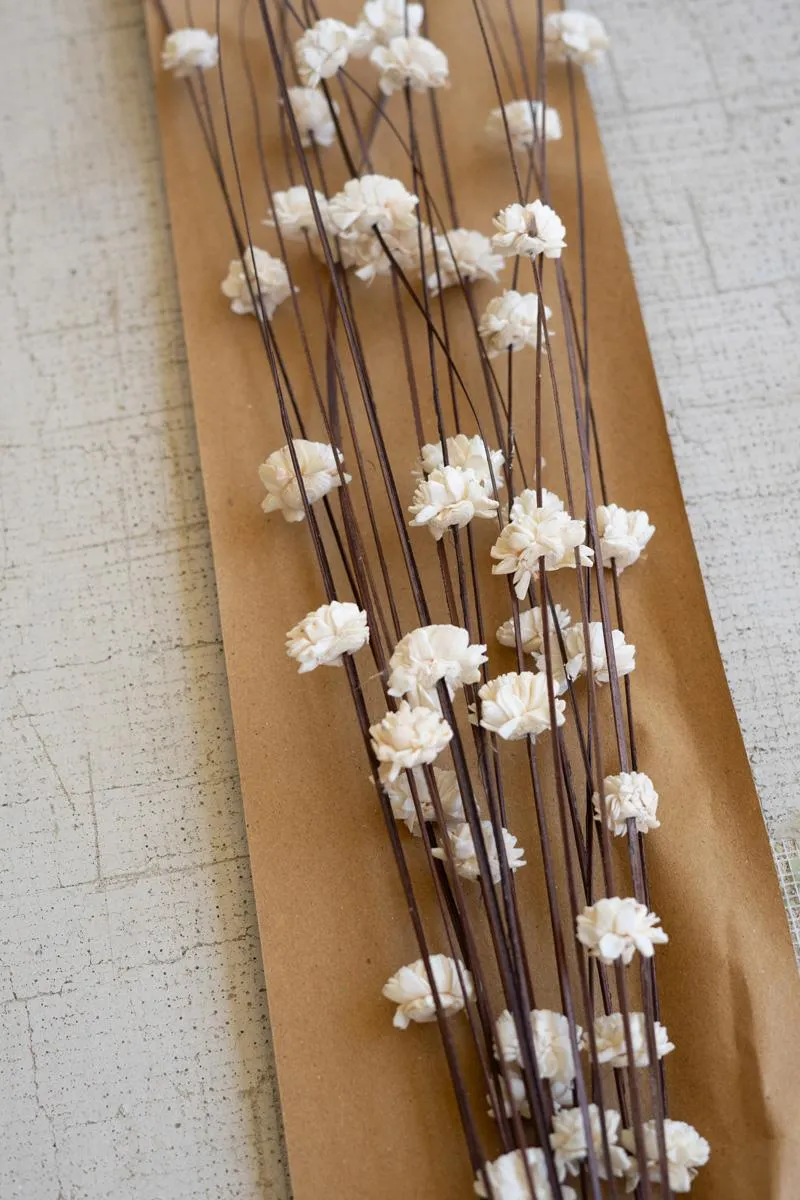 Bundle of 20 Sola Bells On Ting Ting Stems (Pack of 12 bags)