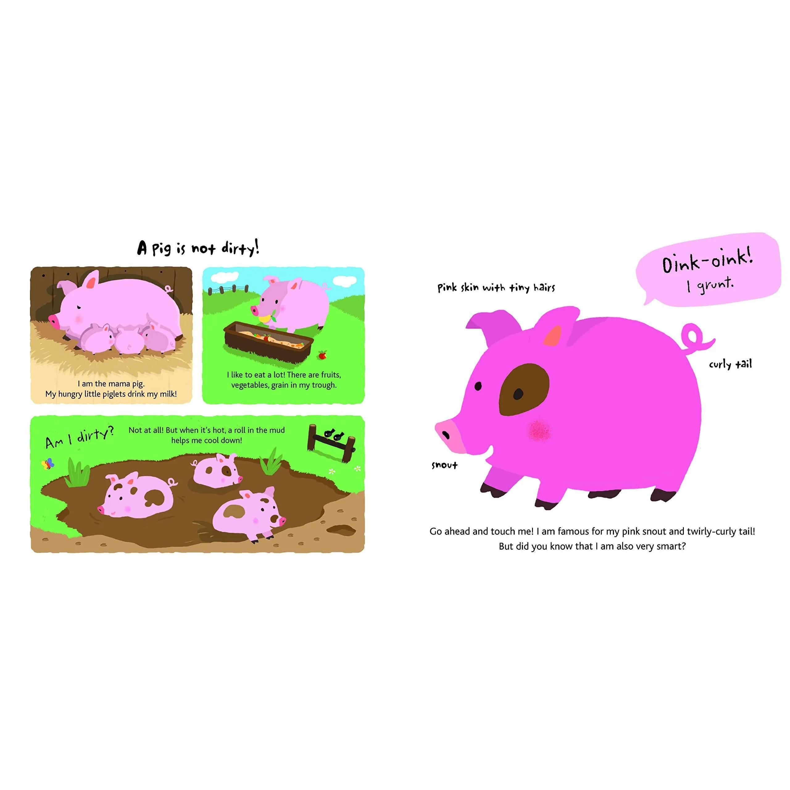 Chronicle Books: Touch and Explore: Farm (Board Book)