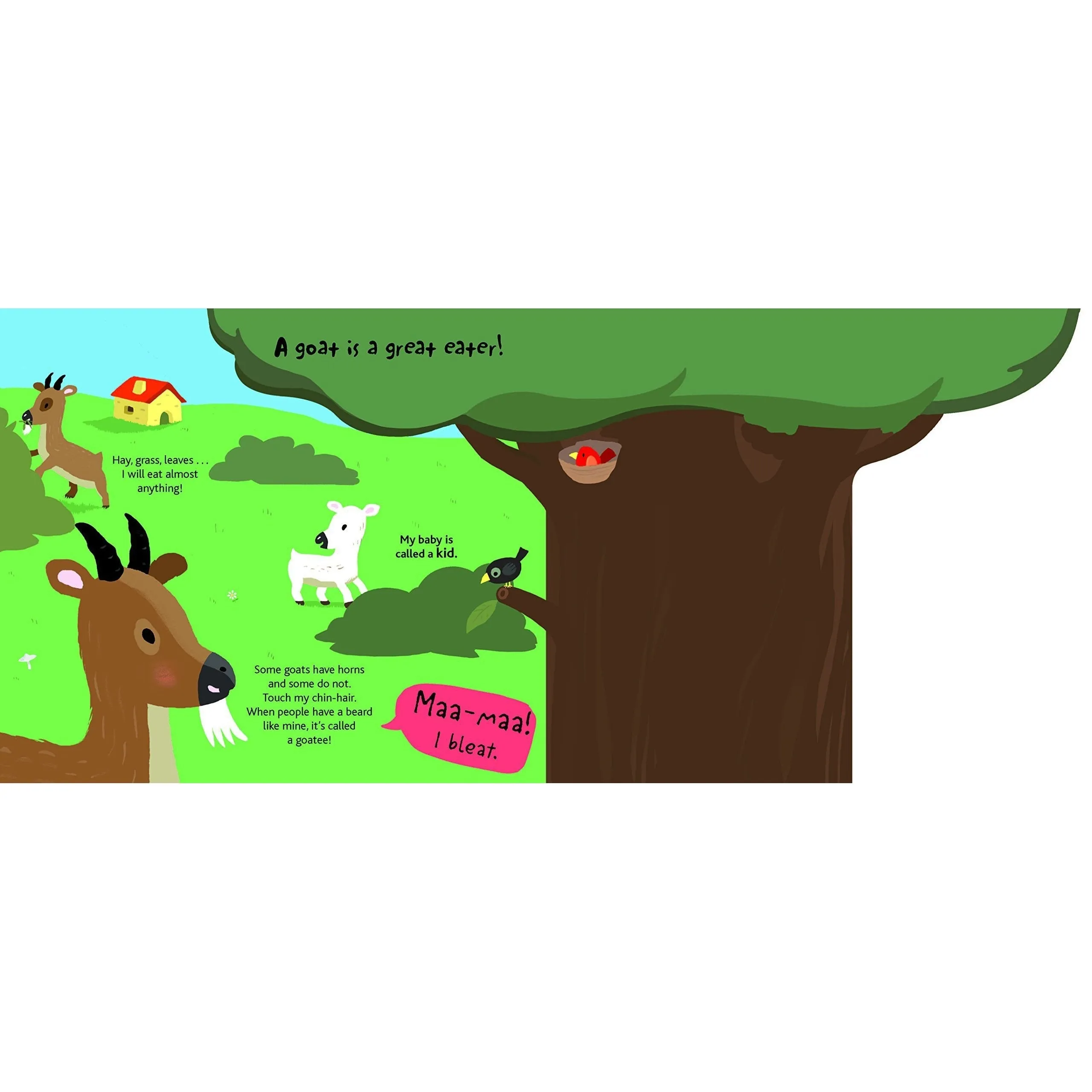 Chronicle Books: Touch and Explore: Farm (Board Book)