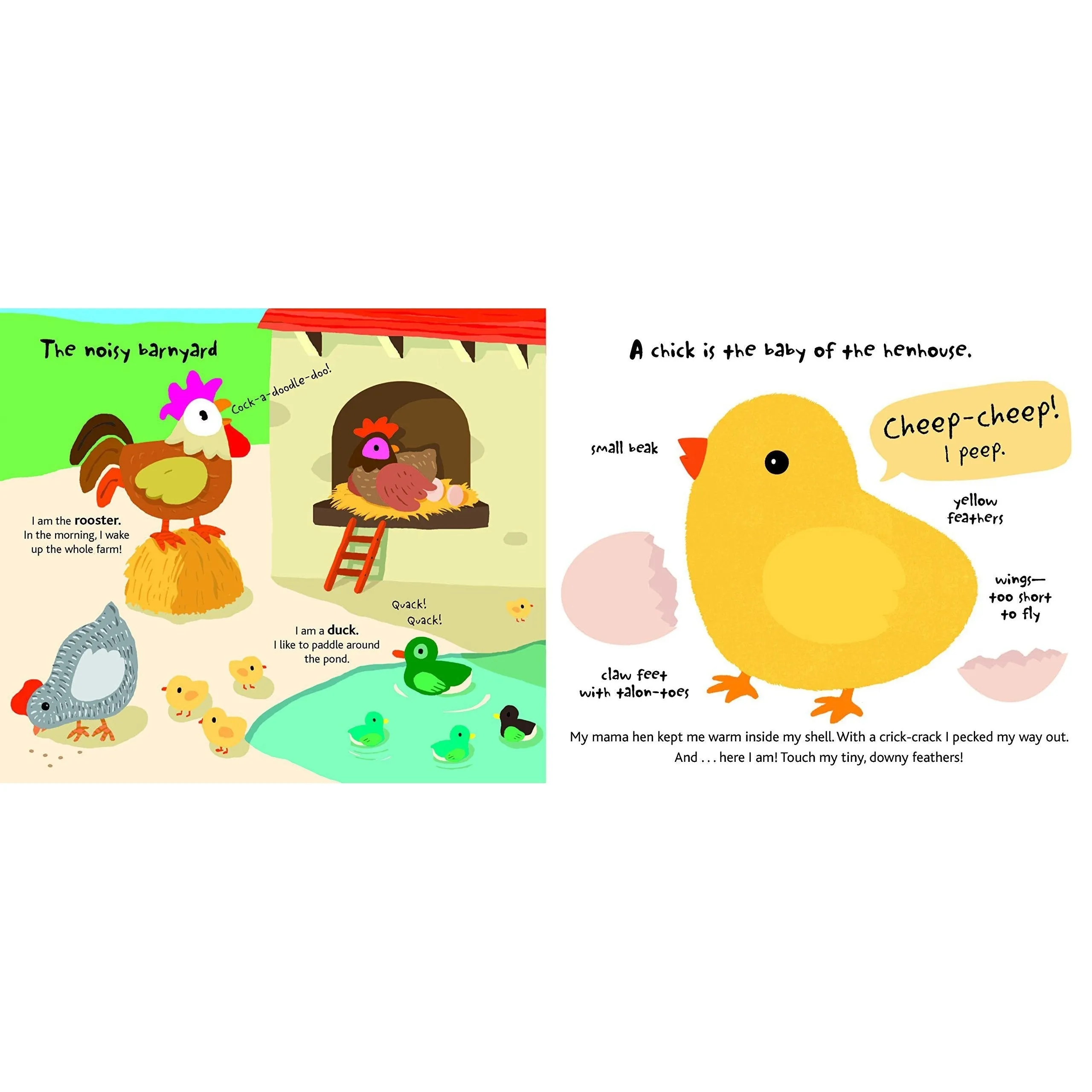 Chronicle Books: Touch and Explore: Farm (Board Book)