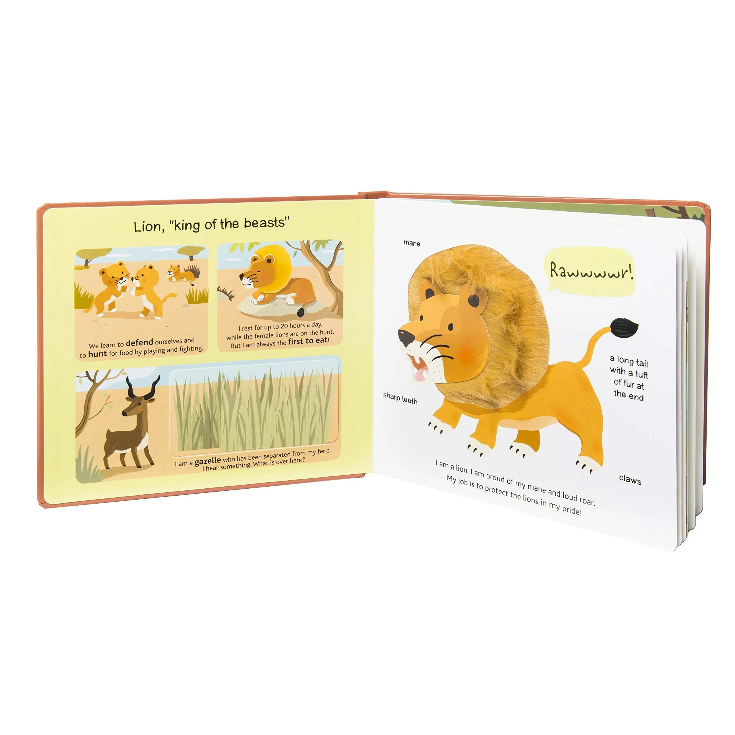 Chronicle Books: Touch and Explore: Safari (Board Book)