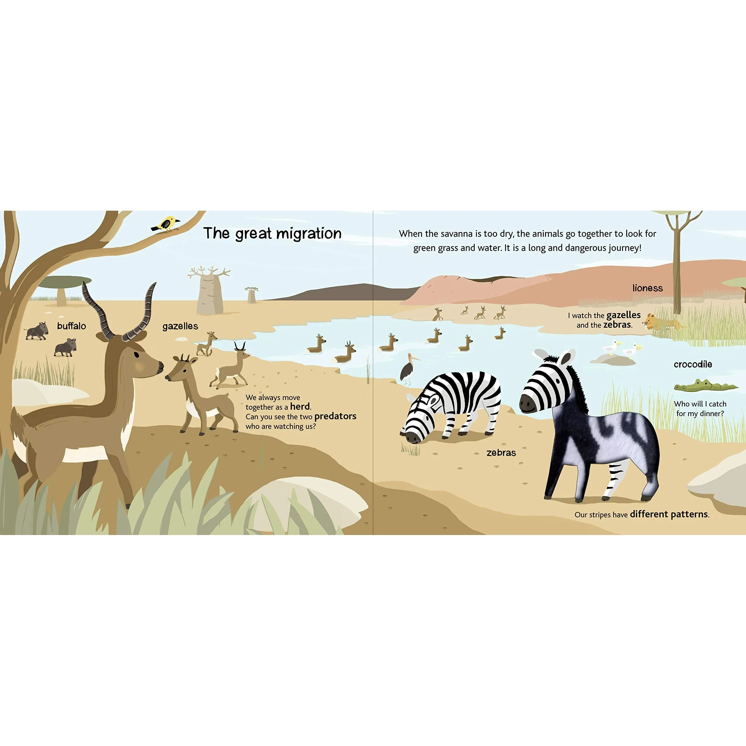 Chronicle Books: Touch and Explore: Safari (Board Book)