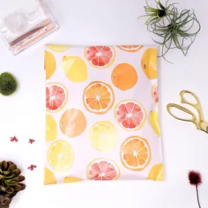 Citrus 10x13 poly mailer - set of 20