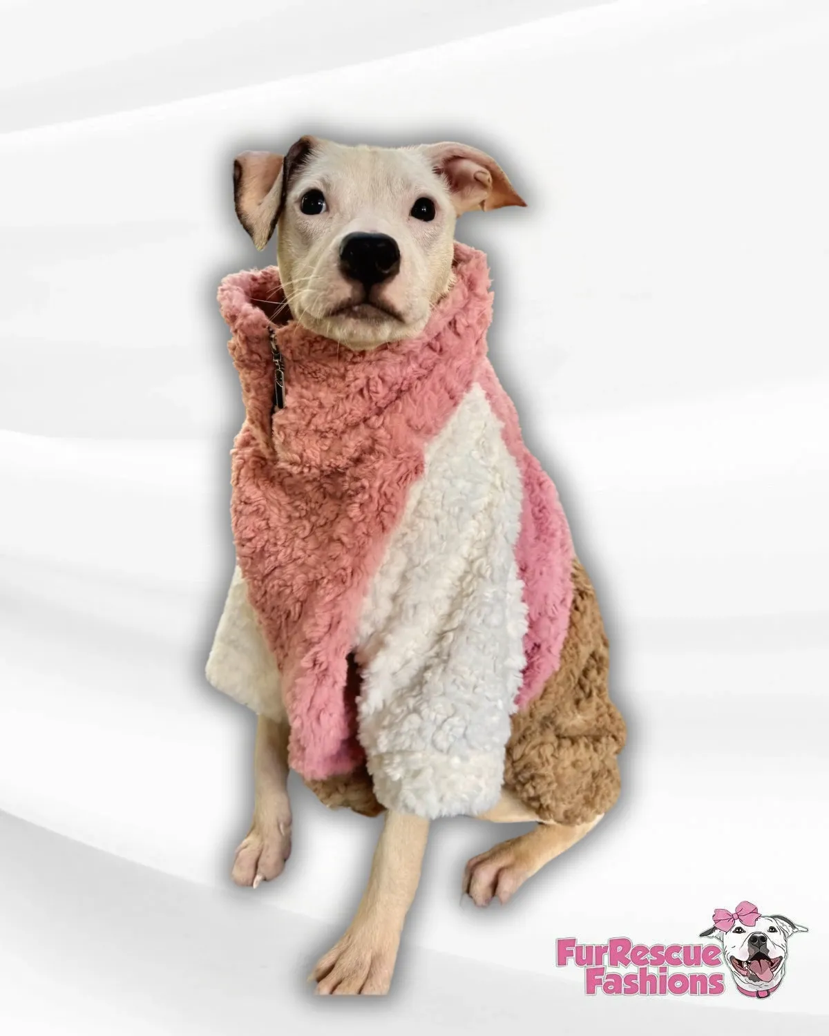 Color Block Dog Pullover (With Pink & Baby Blue) - Sherpa or Sweatshirt material.