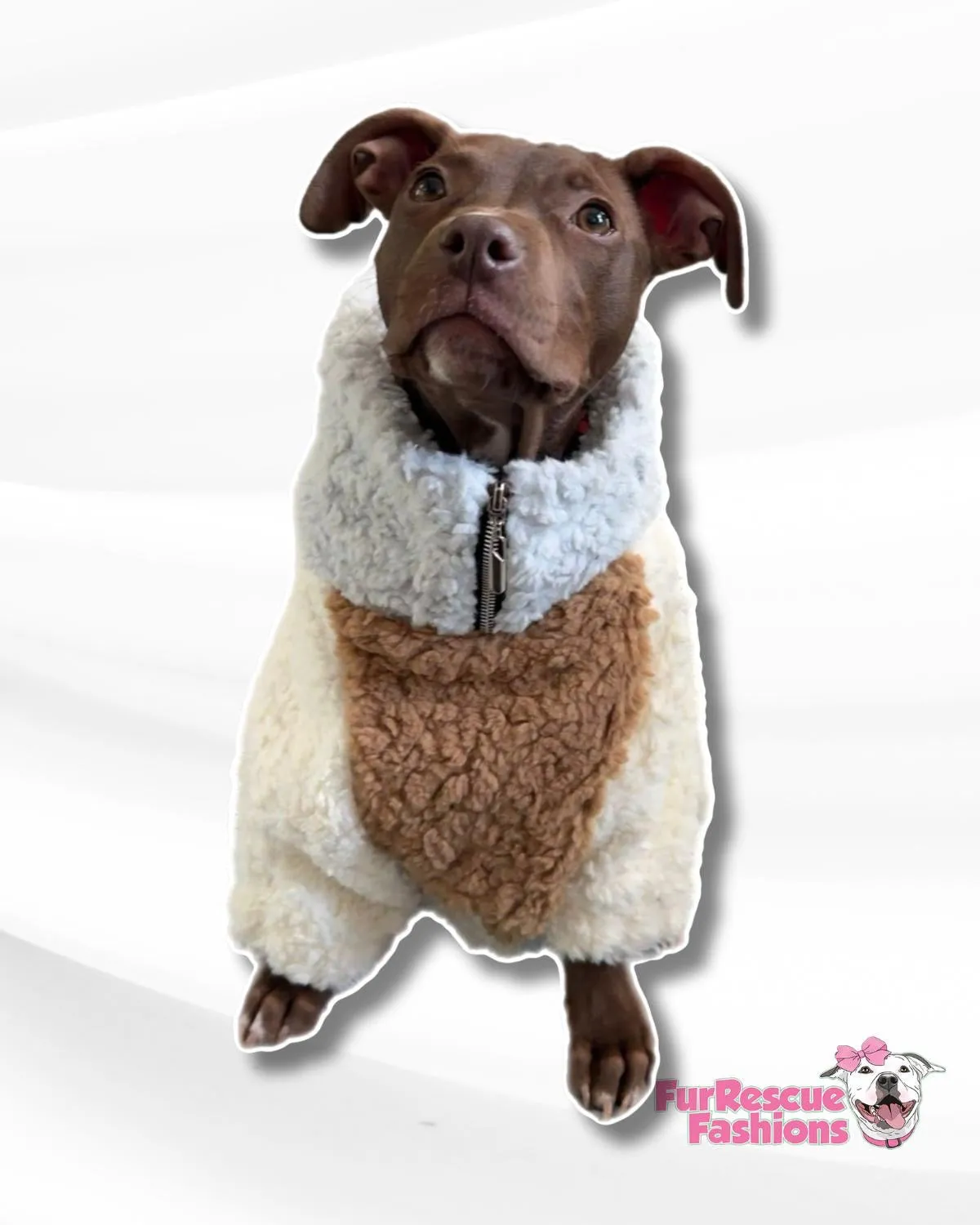 Color Block Dog Pullover (With Pink & Baby Blue) - Sherpa or Sweatshirt material.