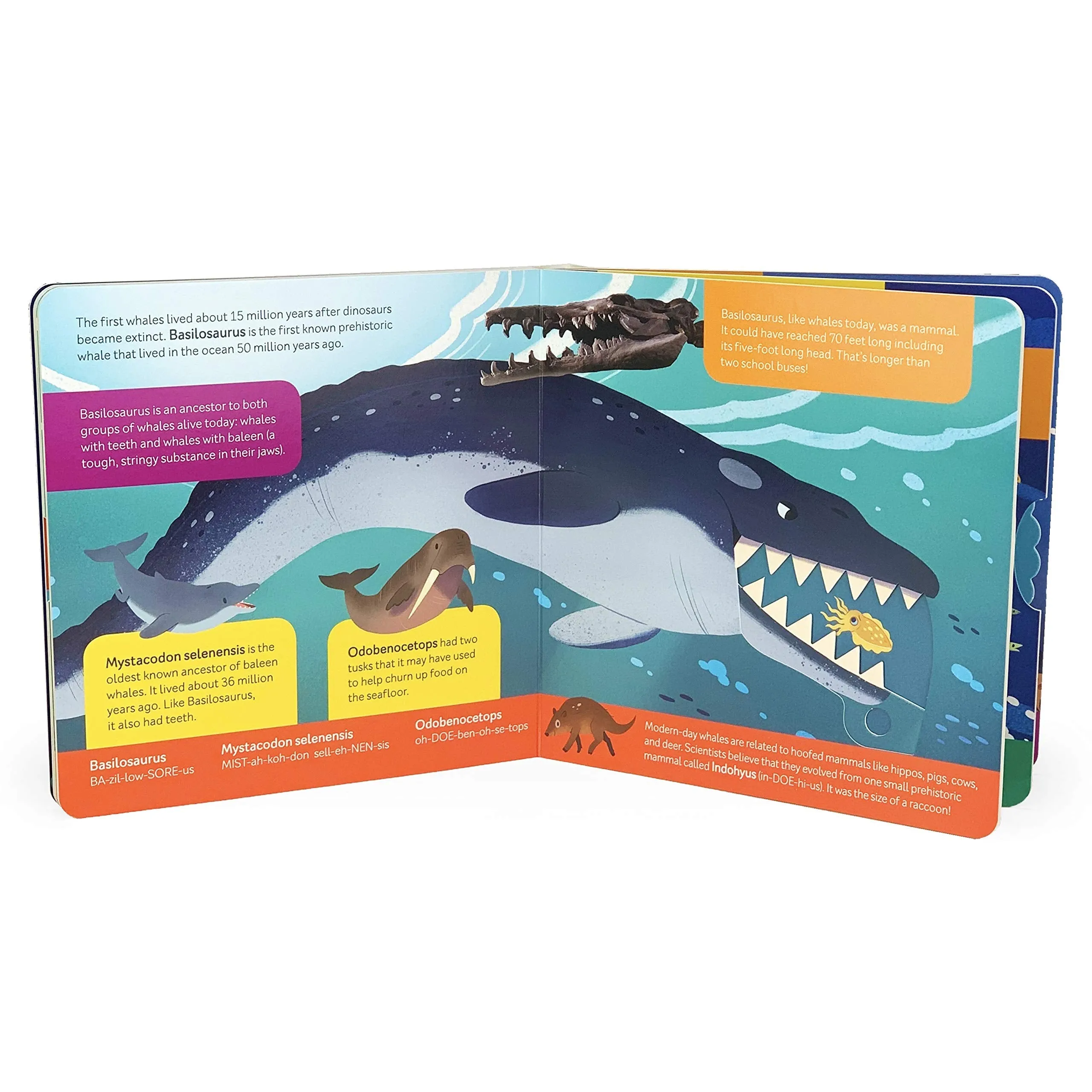 Cottage Door Press: Smithsonian Kids: Prehistoric Deep Sea Board Book