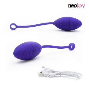 Dancing Fairy 10 Speeds Vibrating G-Spot Egg Purple