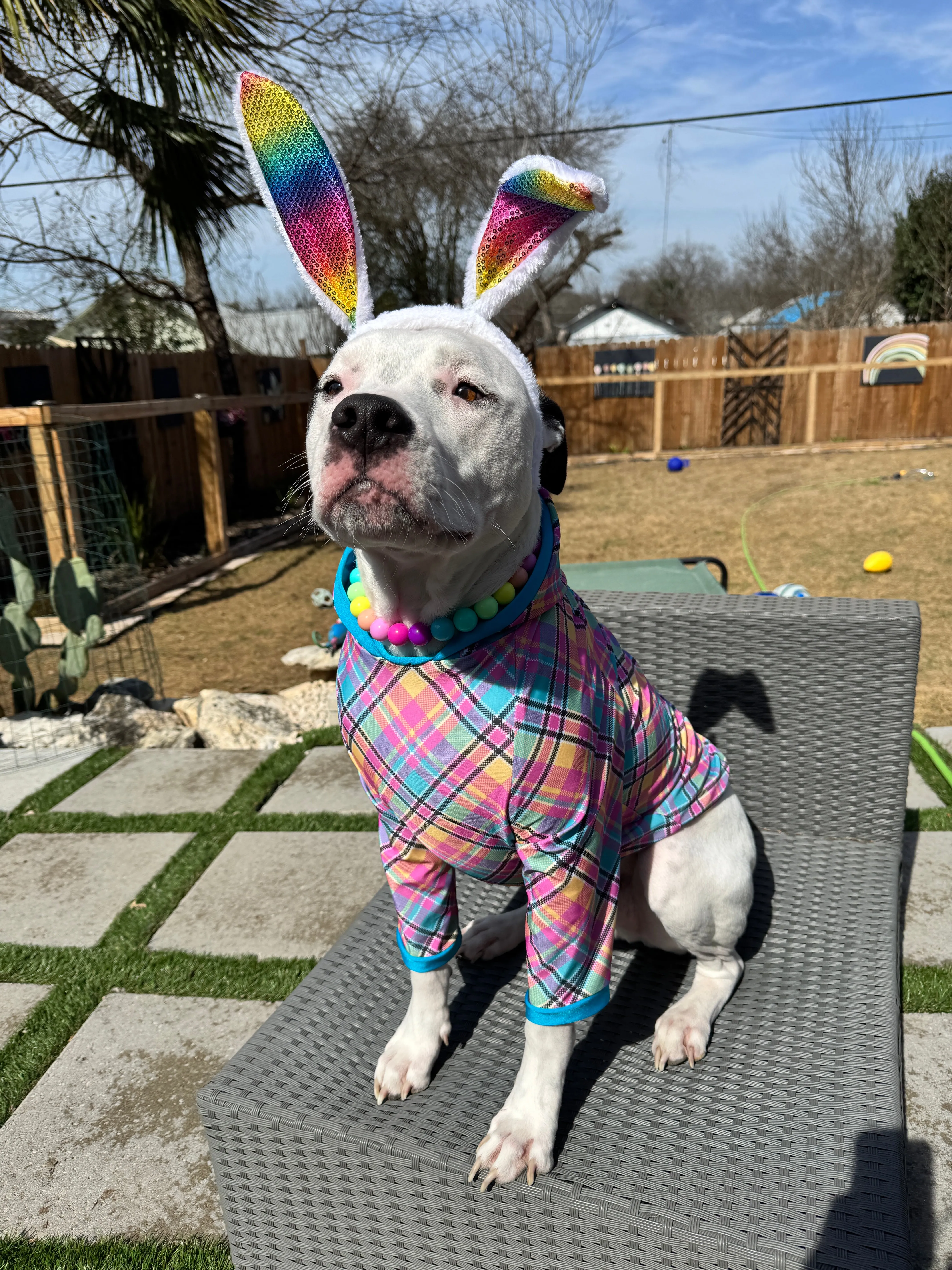 Easter Plaid - Dog Pajama with Aqua Neck & Trim/Sleeves