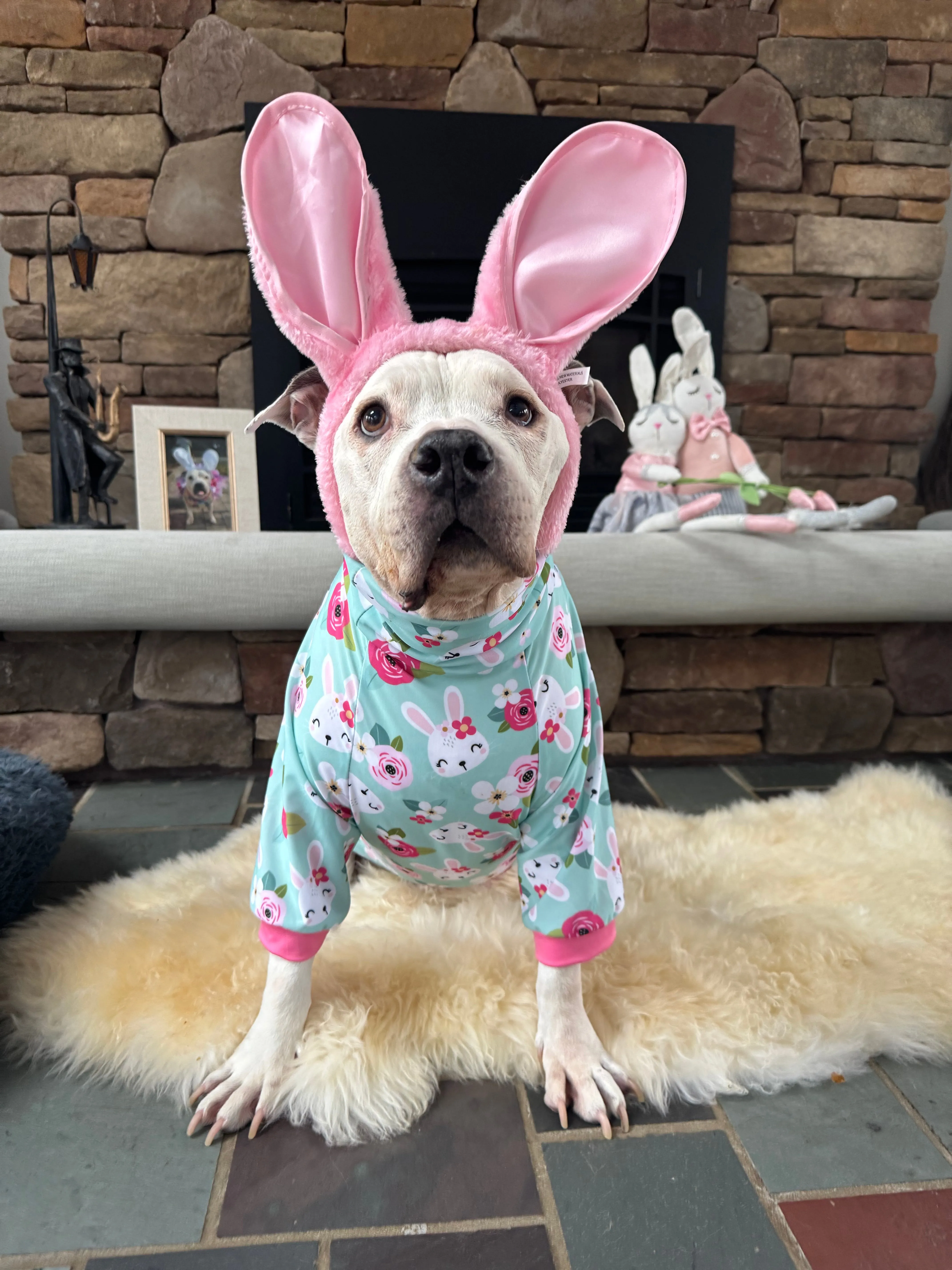 Feeling Hoppy - Dog Pajama with Pink Neck & Trim/Sleeves