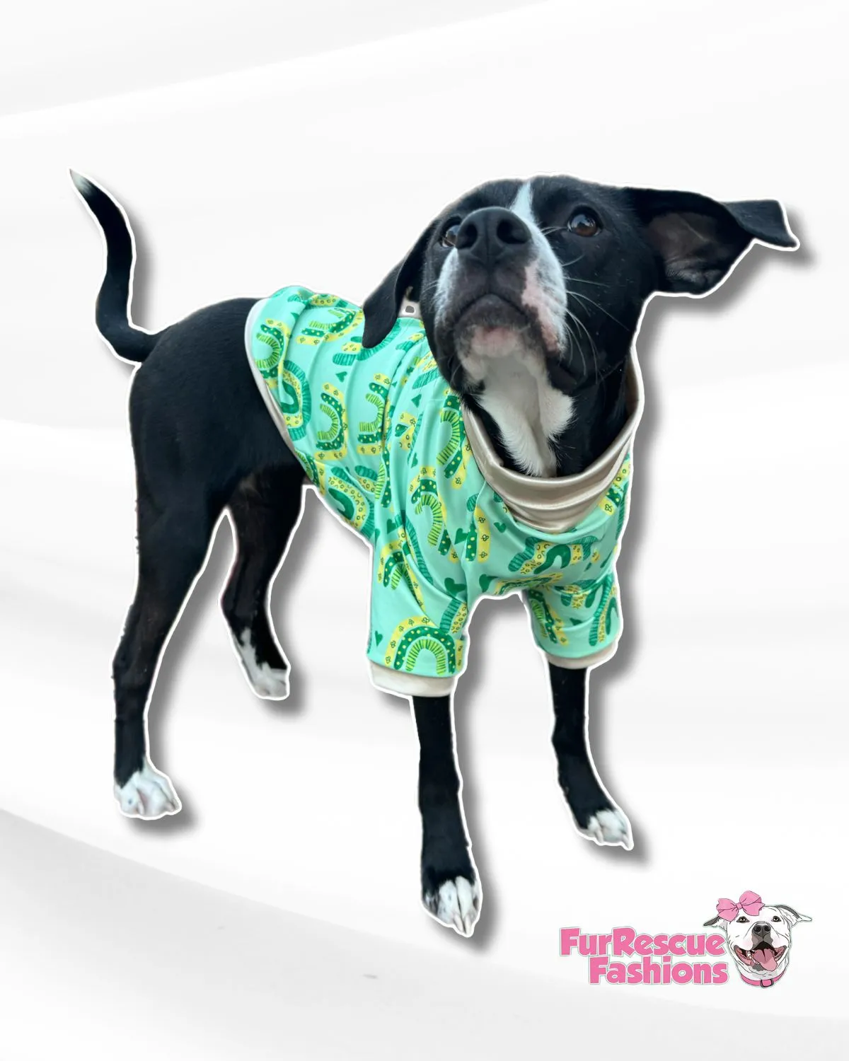 Follow The Rainbow - Dog PAWjama with Green Neck & Trim/Sleeves