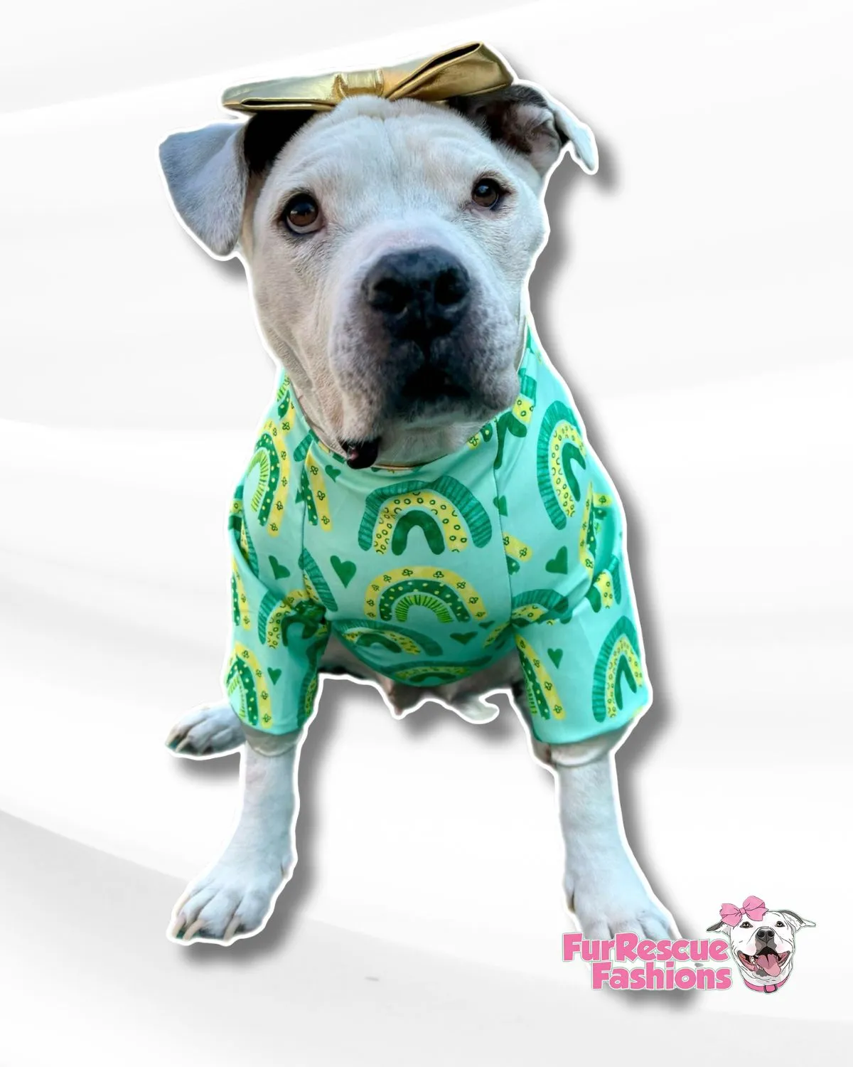 Follow The Rainbow - Dog PAWjama with Green Neck & Trim/Sleeves