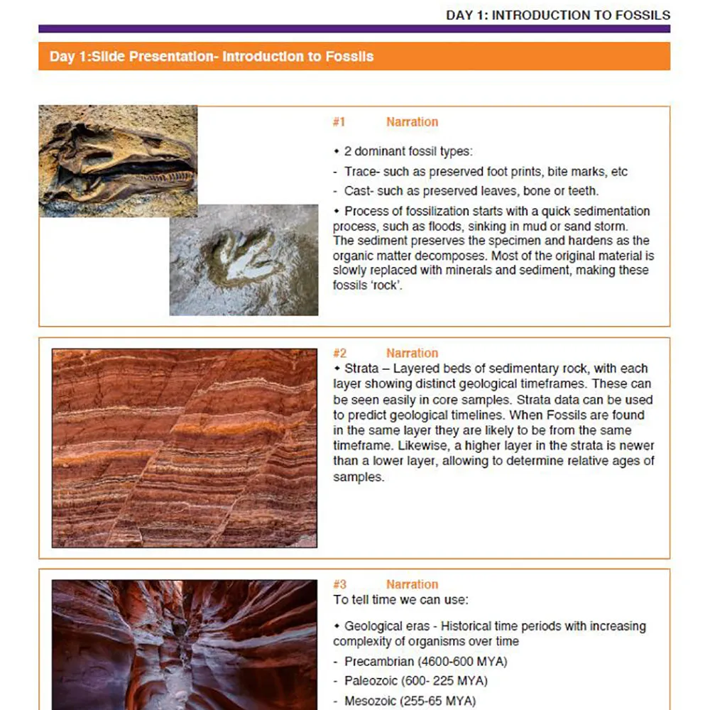 Fossil Time