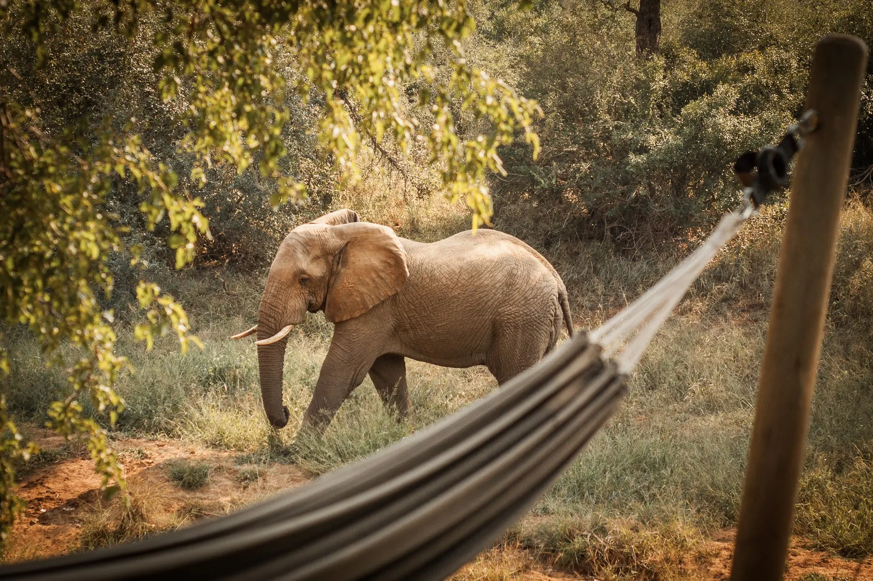 Garonga Safari Co.