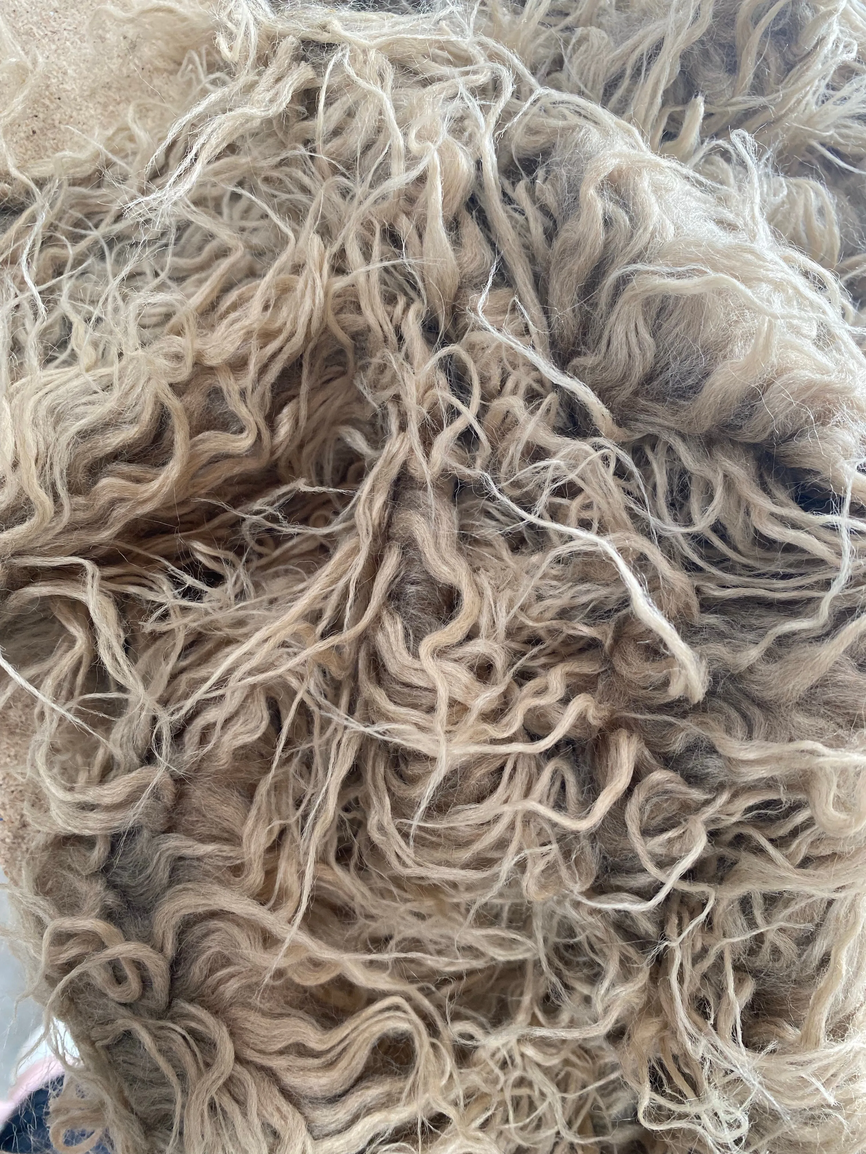 Long lock fur light brown