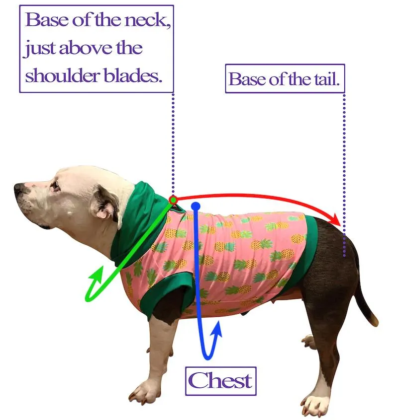 Love At First Frost 4 Legged PAWjamas with Turtle Neck (Available in any pattern)