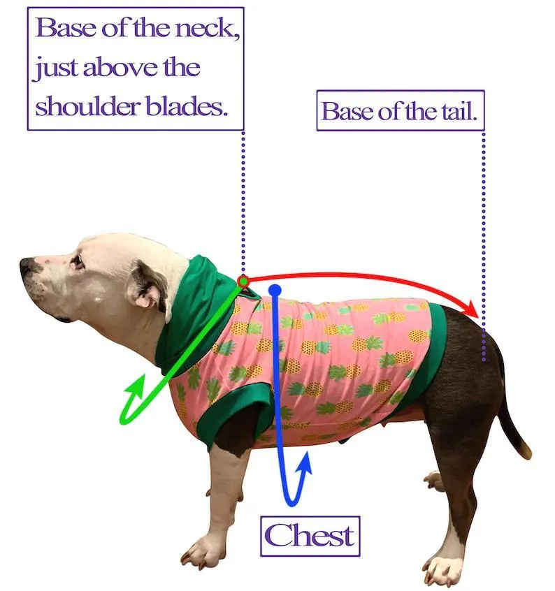 Loved Dog Crewneck With Elbow Heart Patches
