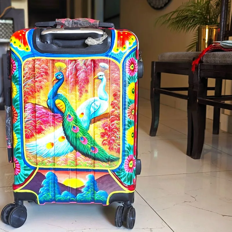 Maham Hand Painted Hand Carry Bag