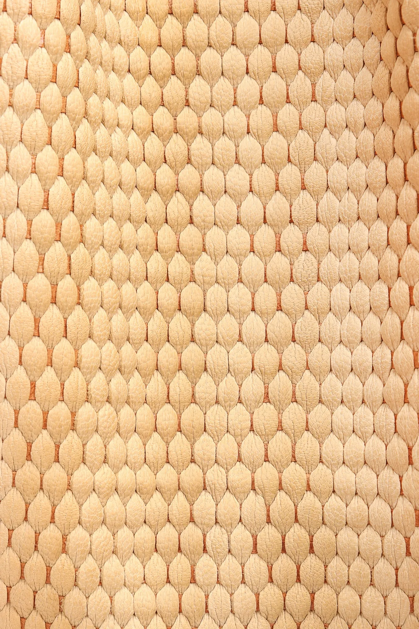 Oversized Woven Lizard Bucket Bag