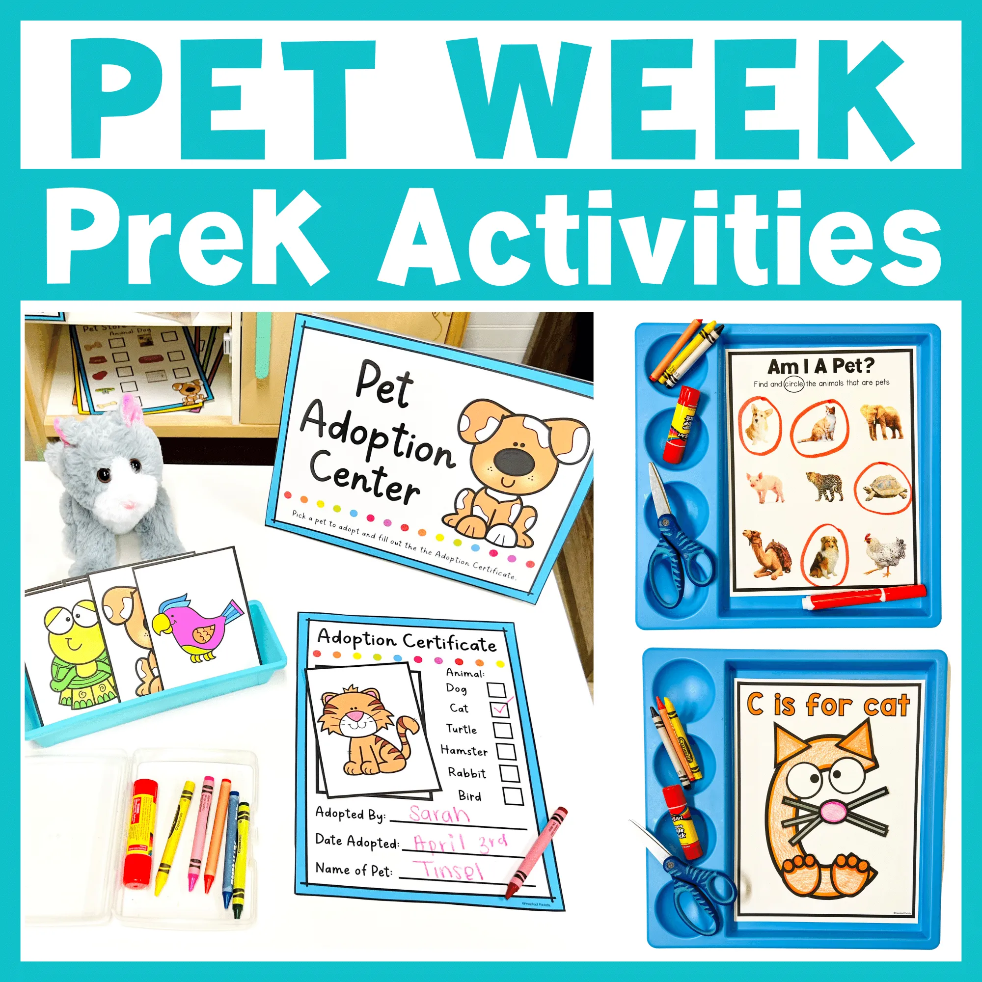 Pet Theme Activities Preschool Weekly Curriculum