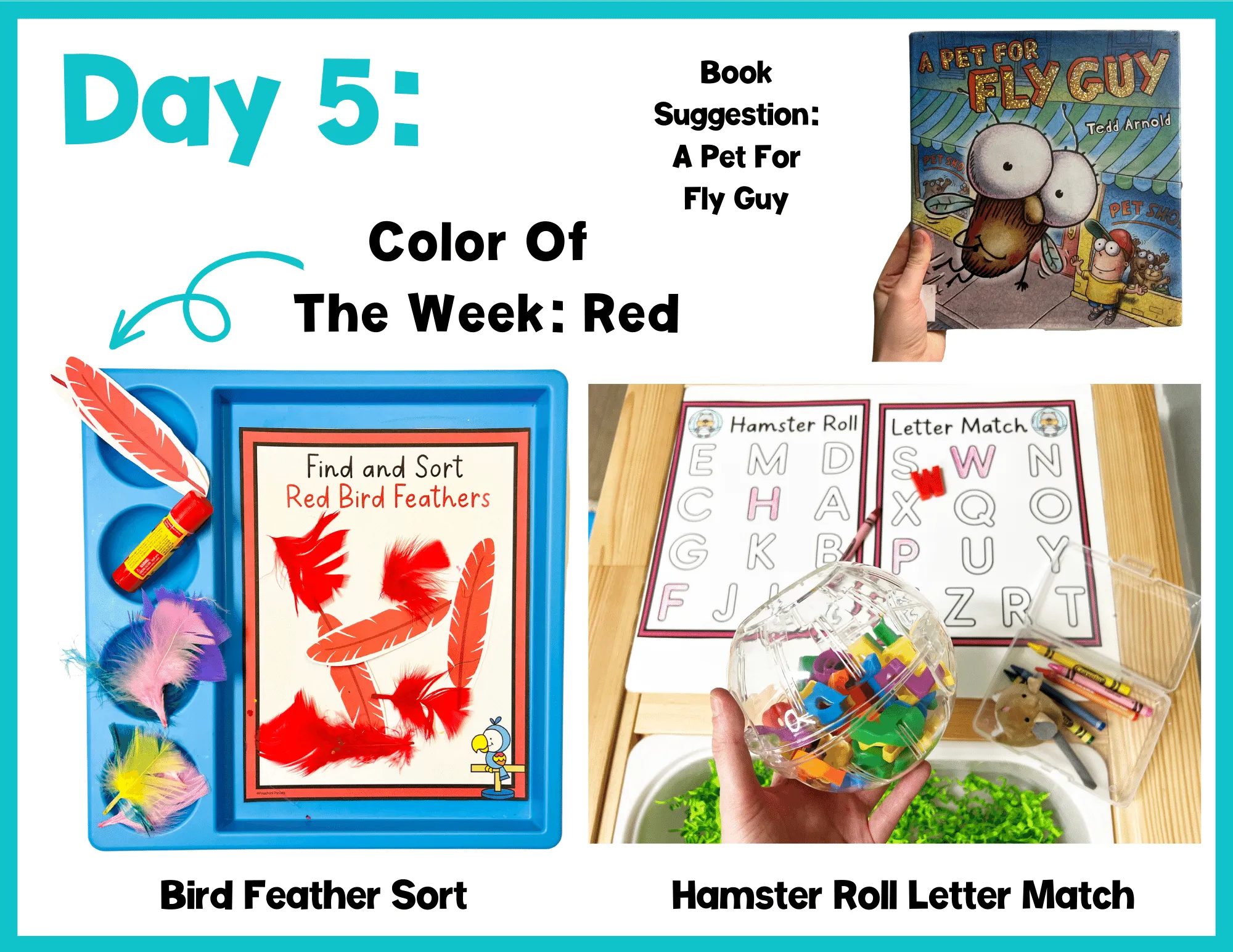 Pet Theme Activities Preschool Weekly Curriculum