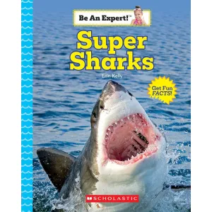 Scholastic: Be an Expert! Sharks (Board Book)