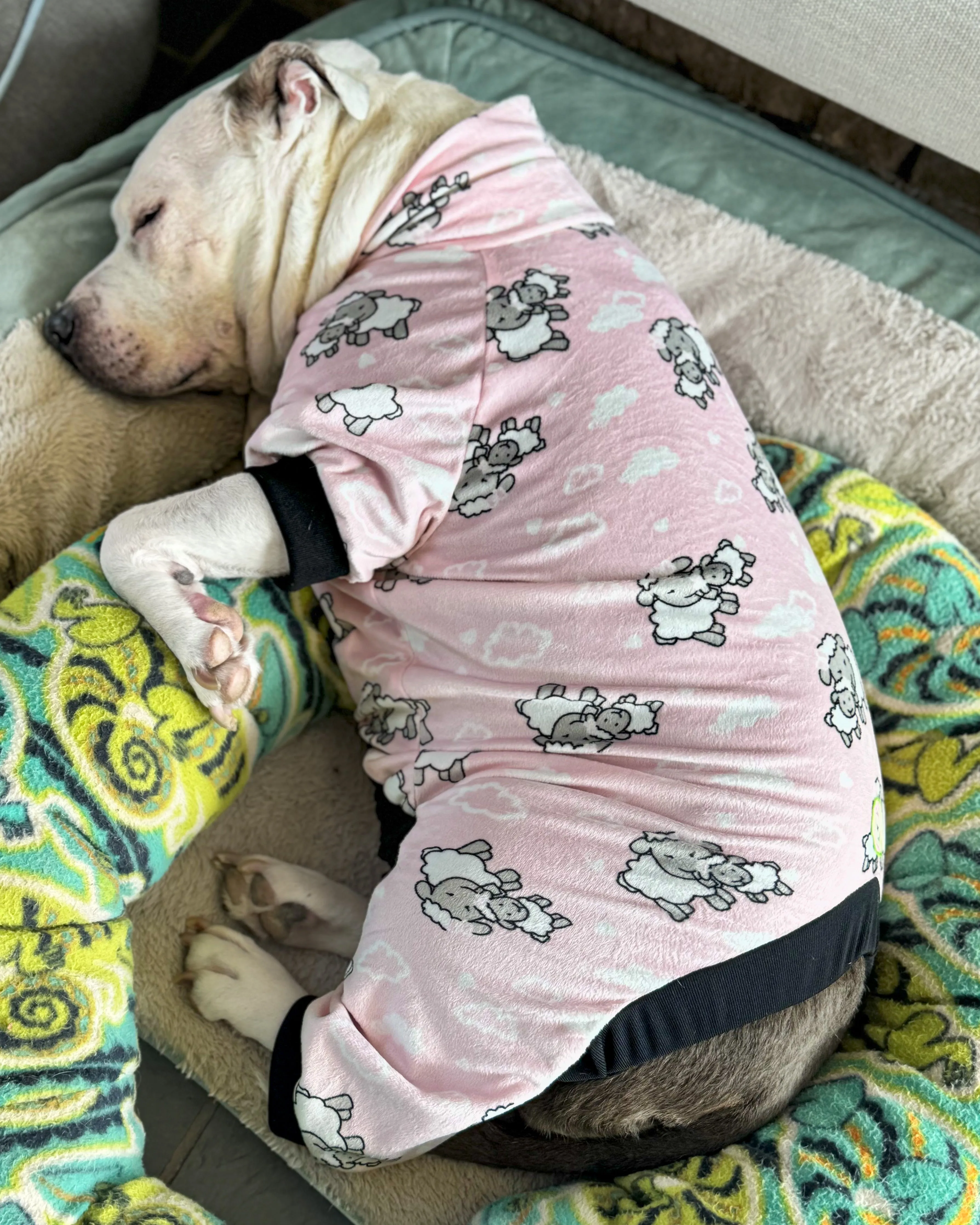 Sheep Dreams - PAWjama Ultra-Luxe
