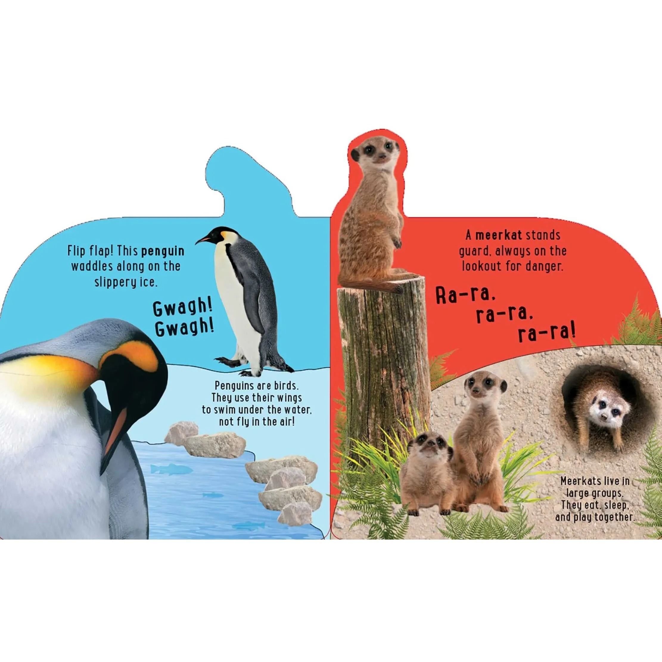 Simon & Schuster: Discovery: Roar at the Zoo! (Hardcover Sound Book)