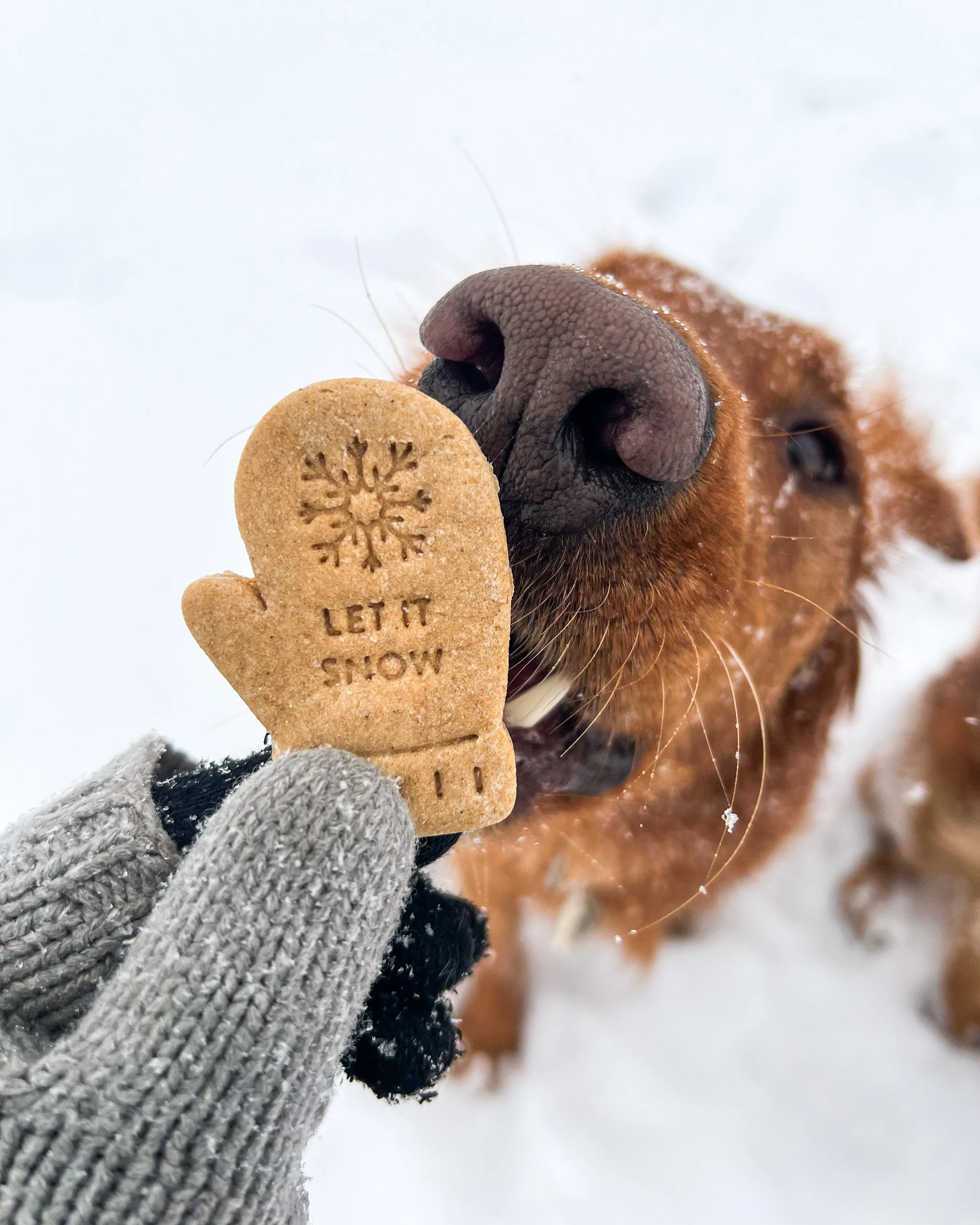 Snow Mittens Dog Biscuit Cookie Cutter