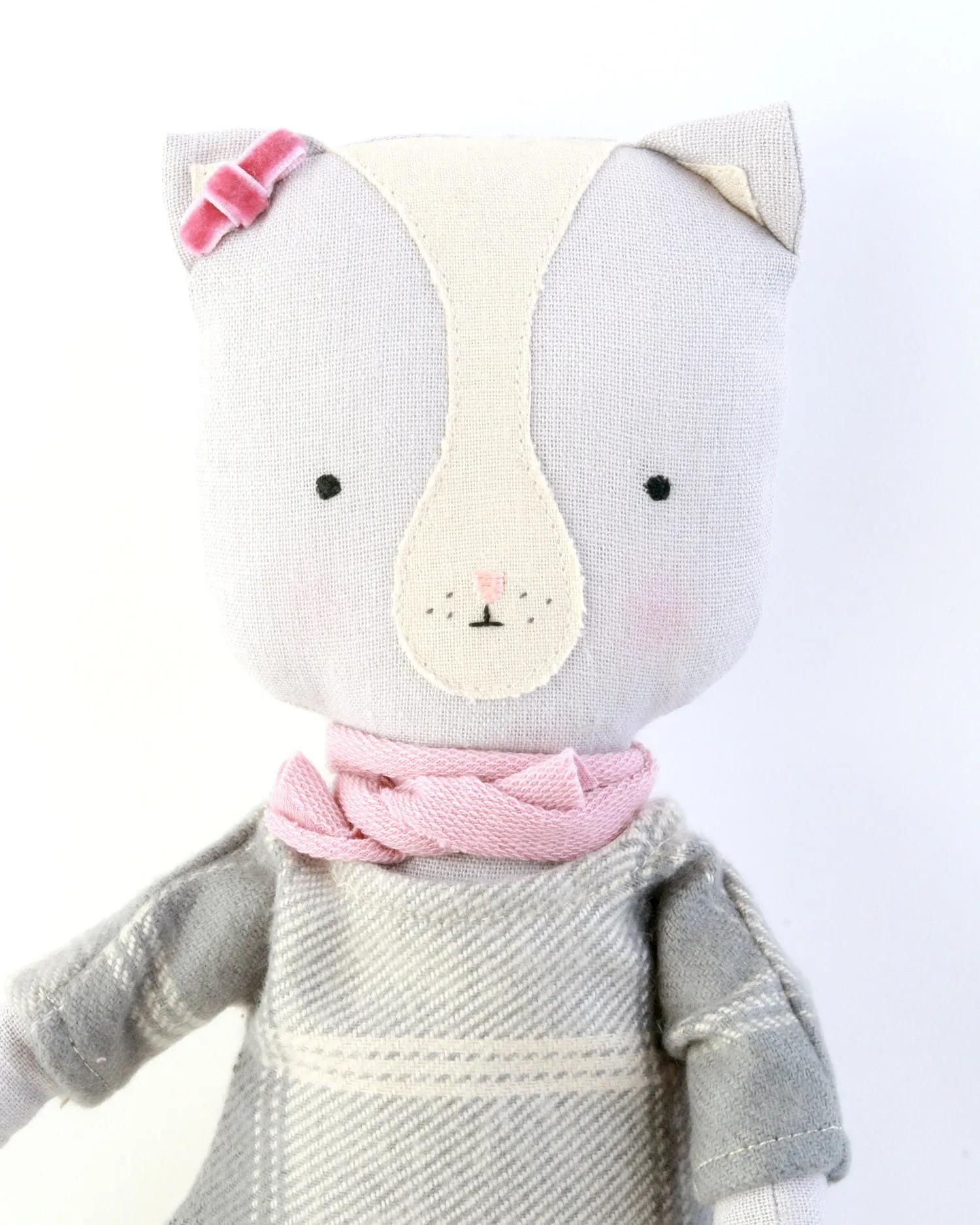 Thomasina the Cat