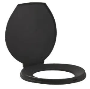 Toilet Seat and Lid