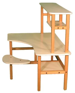 Wild Zoo Child's Preschool Computer Desk Workstation Free Shipping