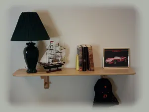 Wild Zoo Wall Shelf Children's furniture Free Shipping